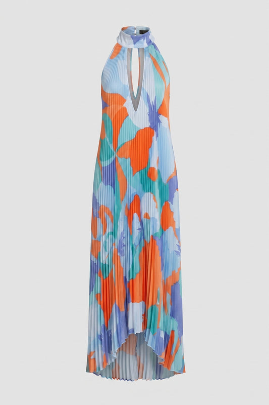 Effortless Floral Print Maxi Dresses for Women with Halter Neck Sleeveless Pleated Skirt Summer Style