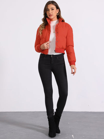 Effortless Bomber Jacket for Women with Stand Collar Zip Front Ribbed Cuff Style