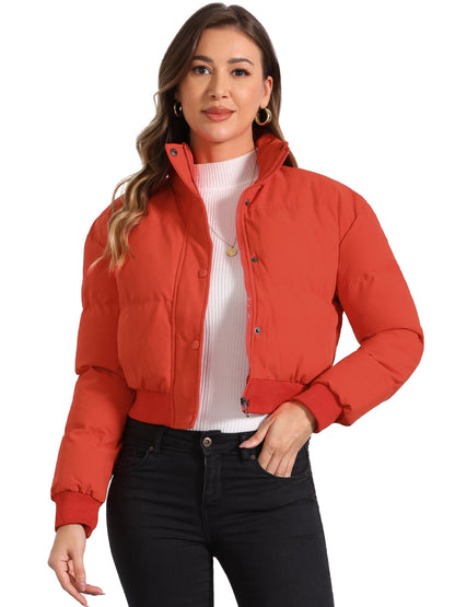 Effortless Bomber Jacket for Women with Stand Collar Zip Front Ribbed Cuff Style