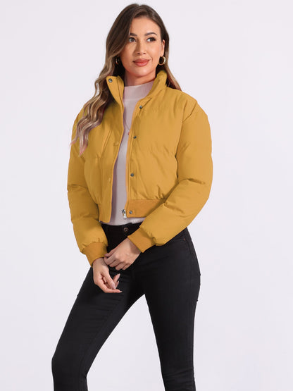 Effortless Bomber Jacket for Women with Stand Collar Zip Front Ribbed Cuff Style